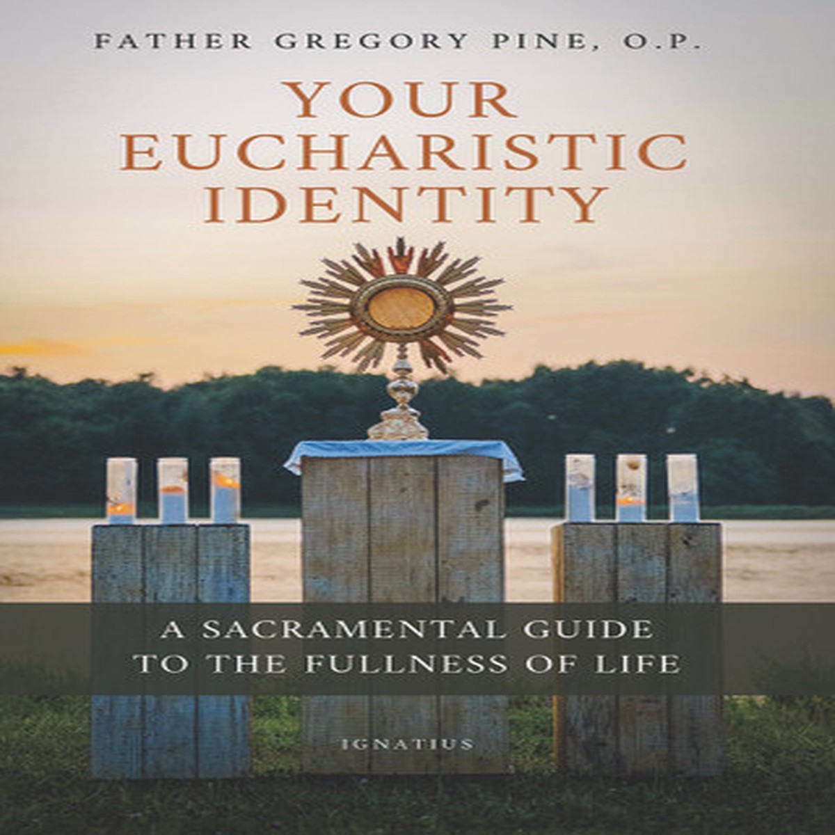 Your Eucharistic Identity A Sacramental Guide to the Fullness of Life - Fr Gregory Pine, O.P. - Ignatius Press (Paperback)