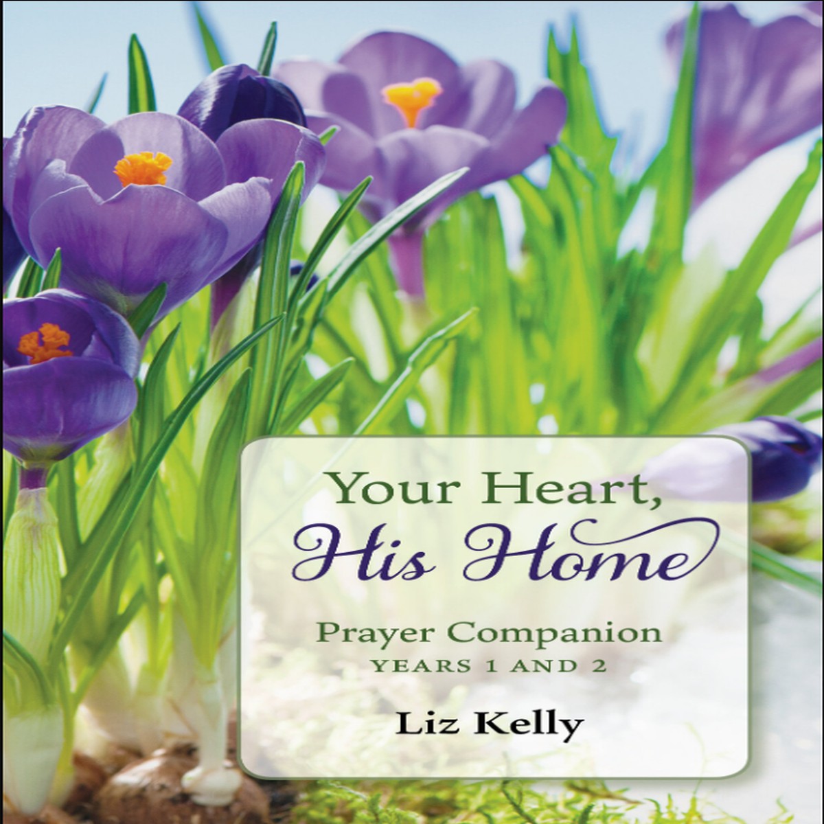 Your Heart, His Home - Prayer Companion Years 1 and 2 - Liz Kelly (Paperback)